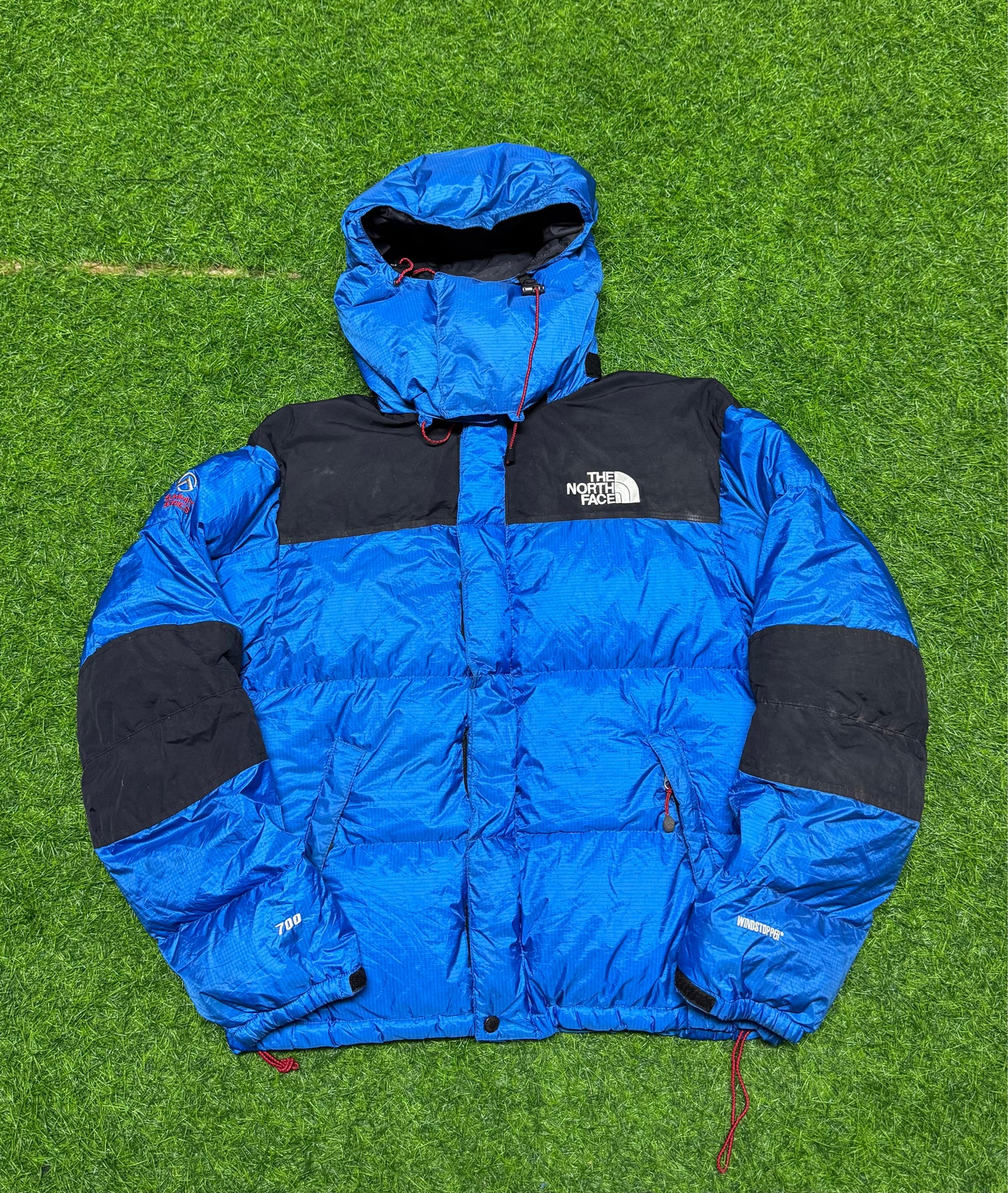 A descriptive alt text for this image