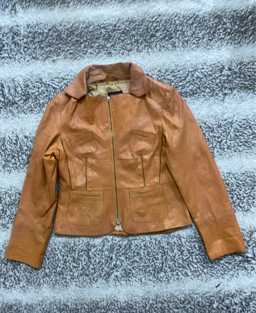 A descriptive alt text for this image