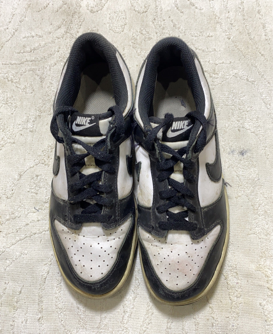 A descriptive alt text for this image