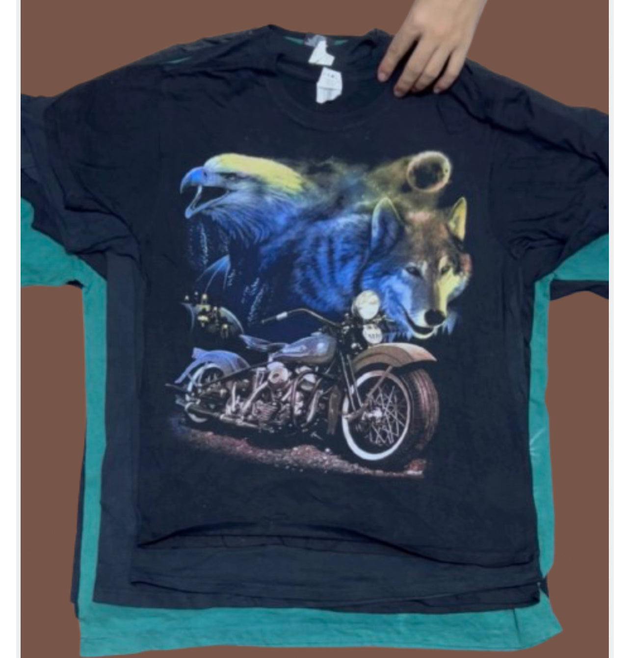 A descriptive alt text for this image