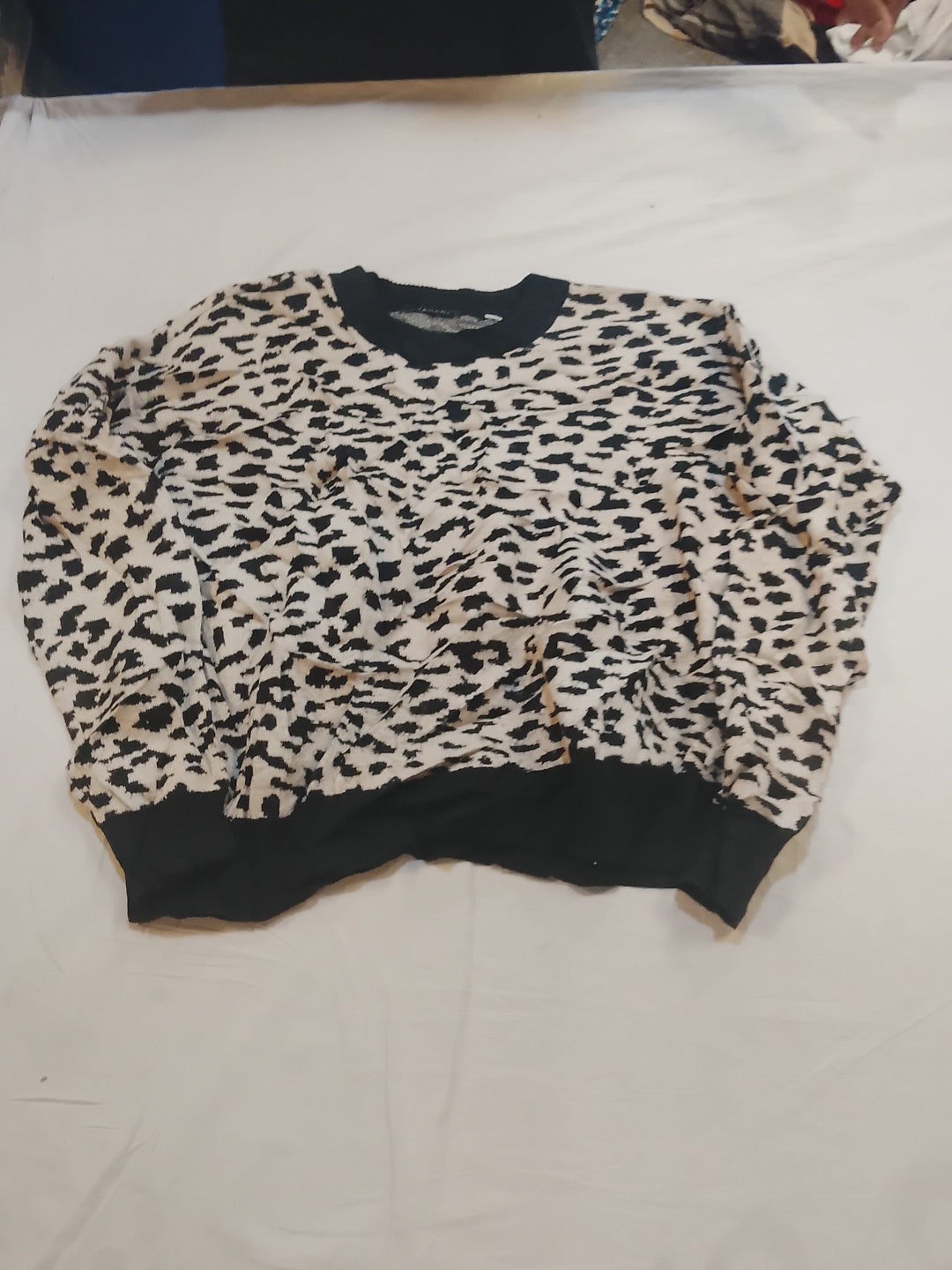 A descriptive alt text for this image