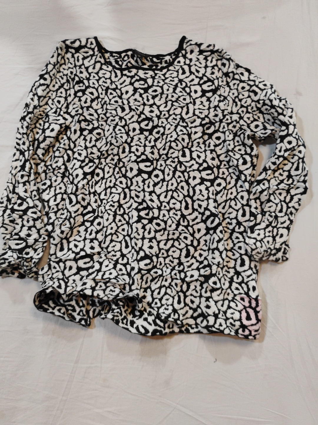 A descriptive alt text for this image