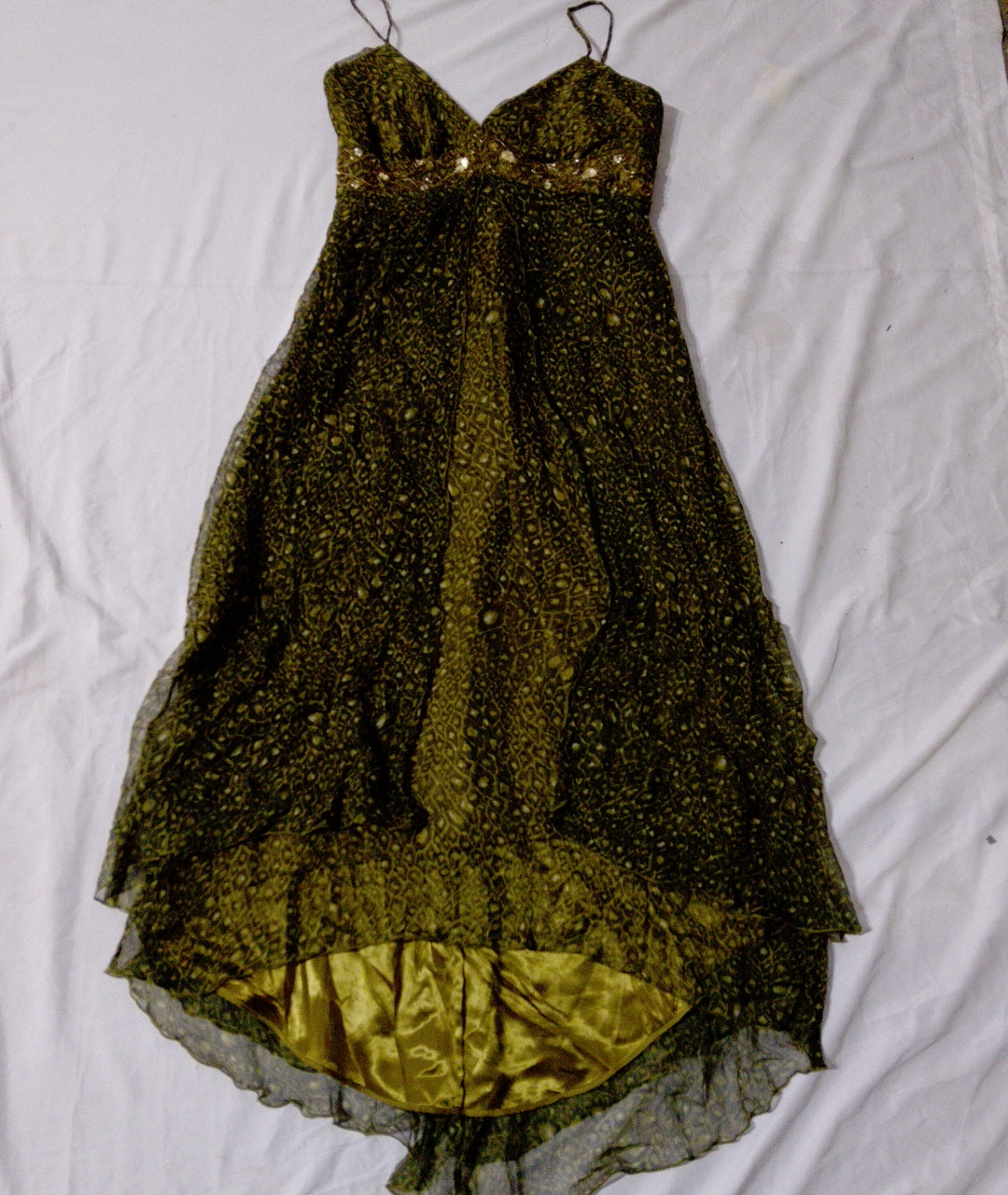 A descriptive alt text for this image