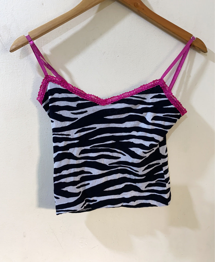 A descriptive alt text for this image