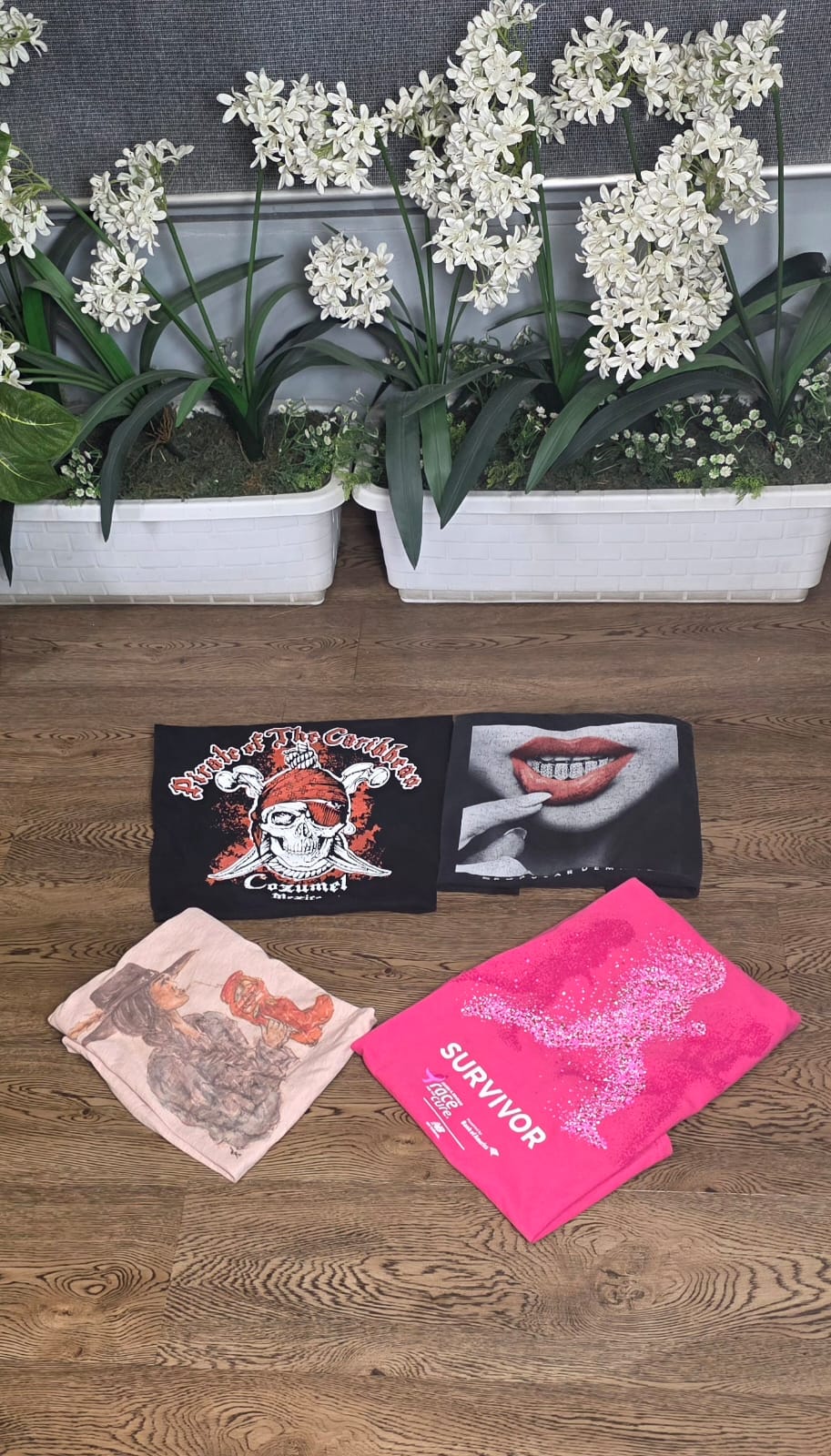 A descriptive alt text for this image