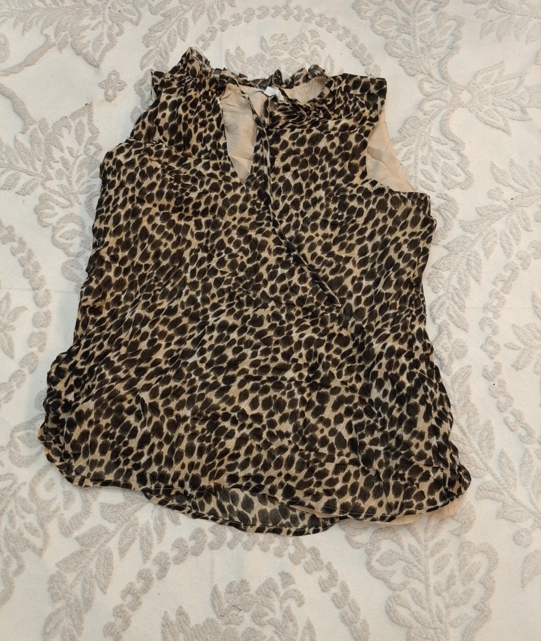 A descriptive alt text for this image