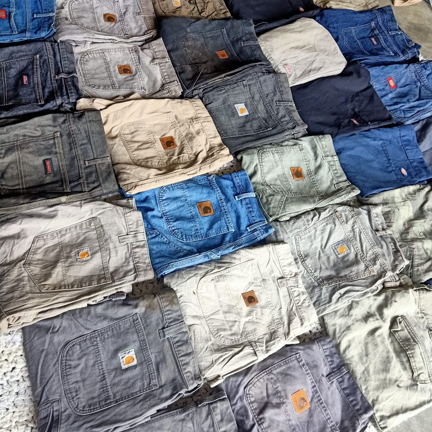 Carhartt and Dickies short