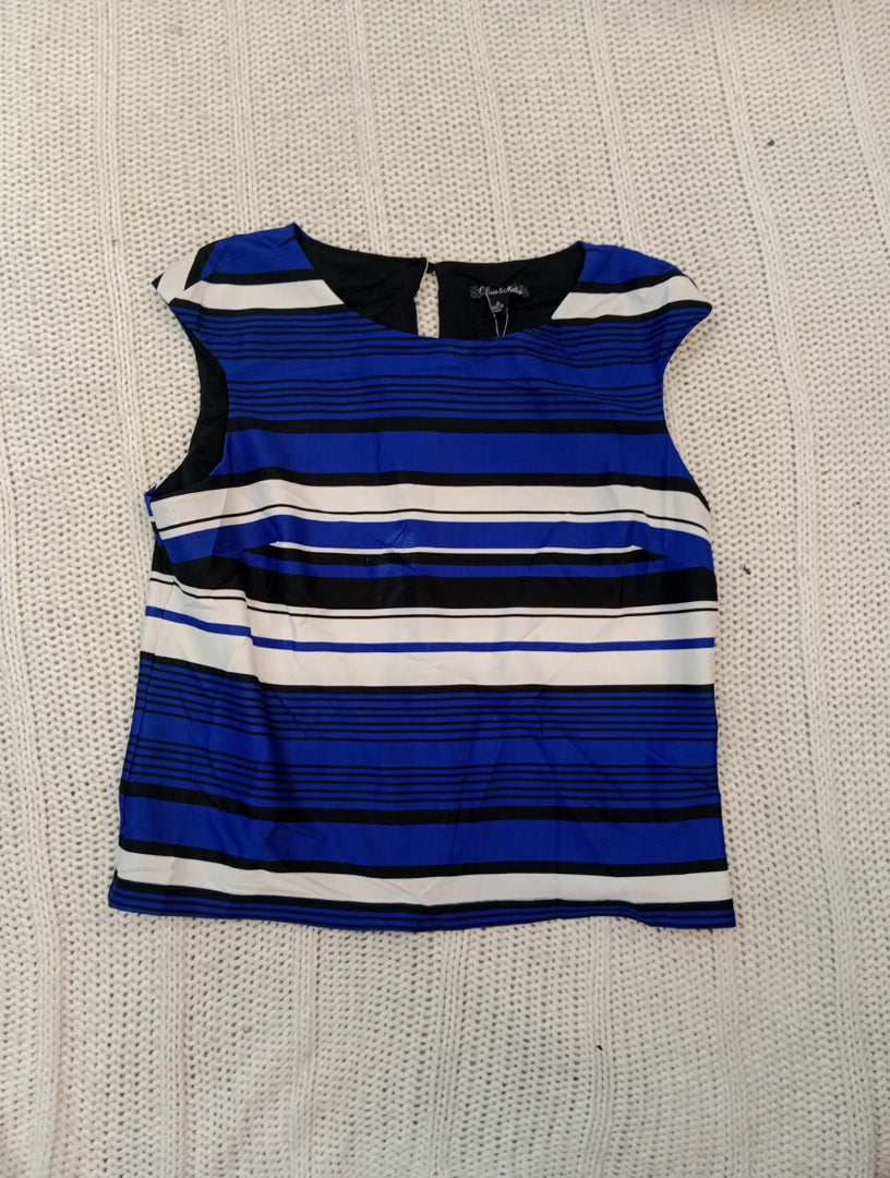 A descriptive alt text for this image