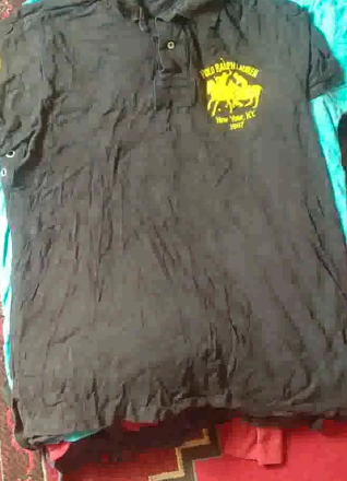 Ralph Lauren shirts and tshirts 26 Pcs