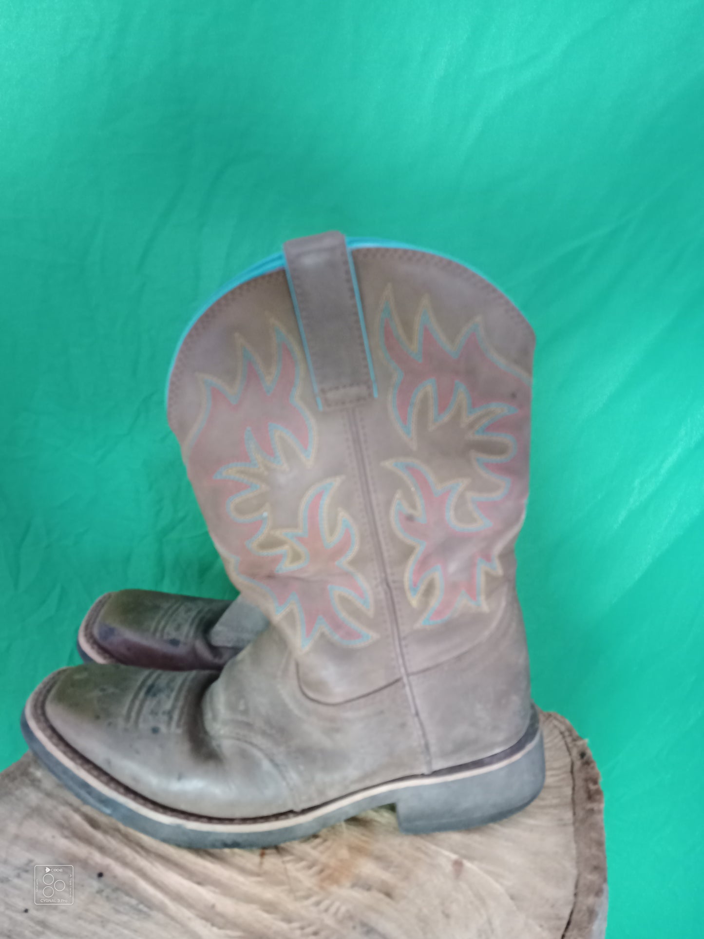A descriptive alt text for this image
