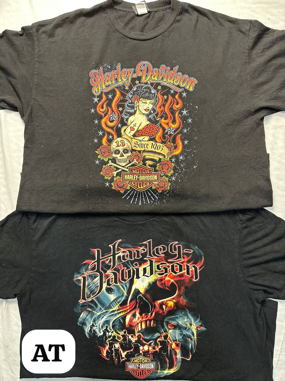 A descriptive alt text for this image