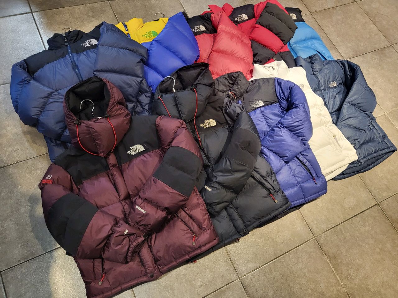 TNF Puffers 50pc Bundle