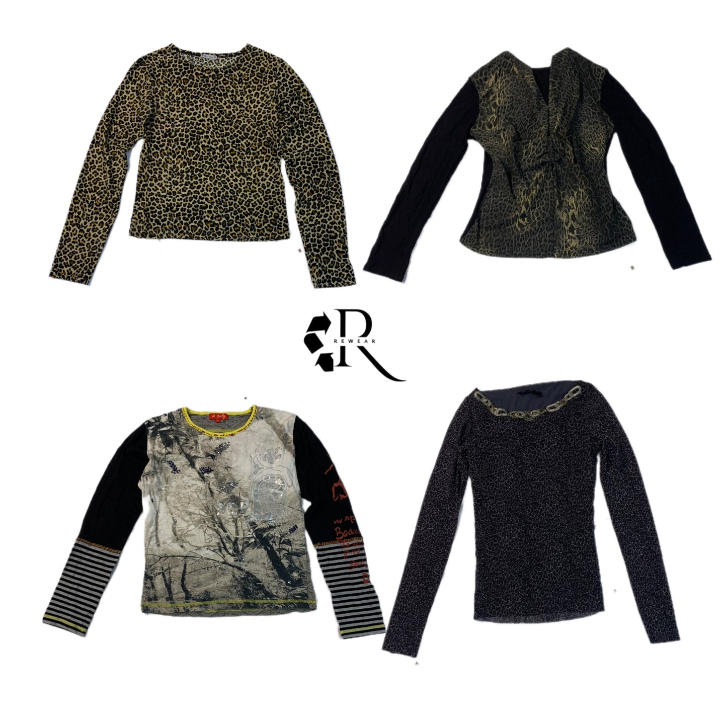 A descriptive alt text for this image