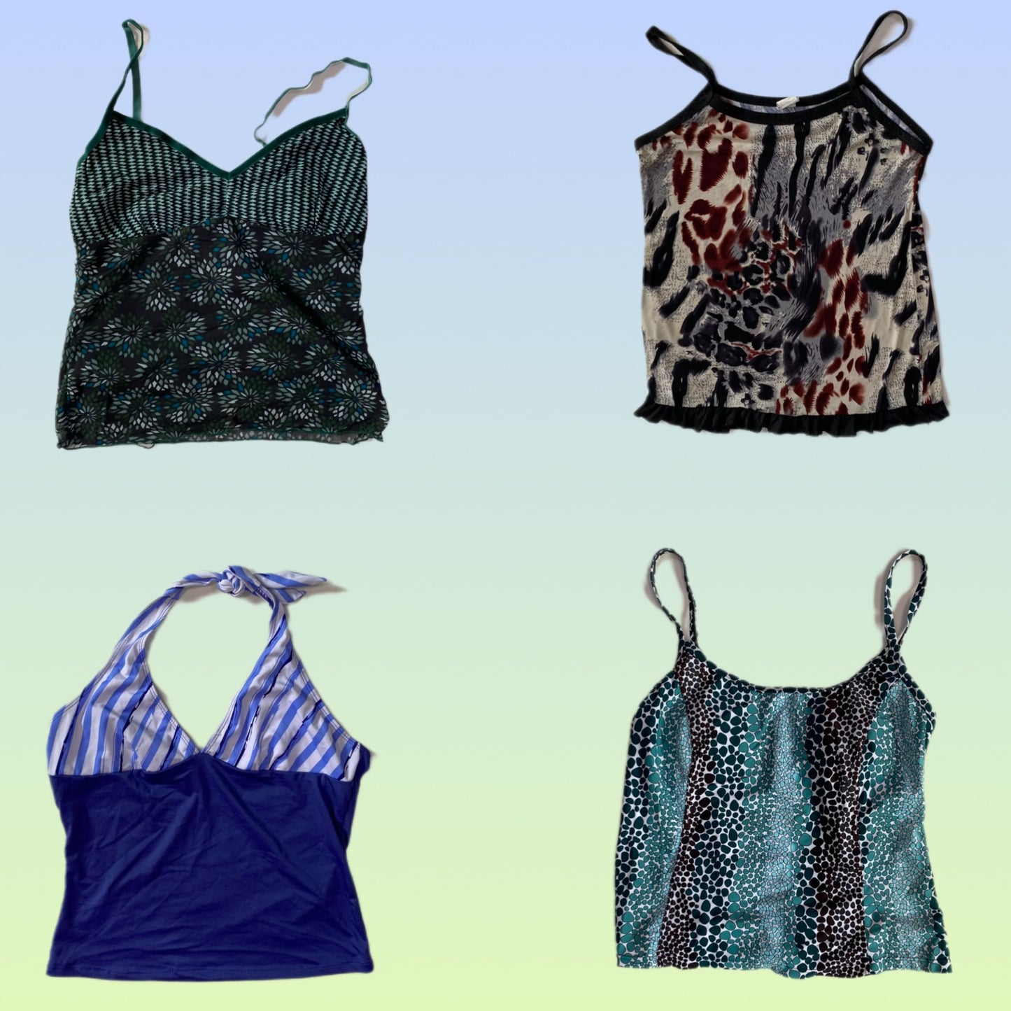 A descriptive alt text for this image