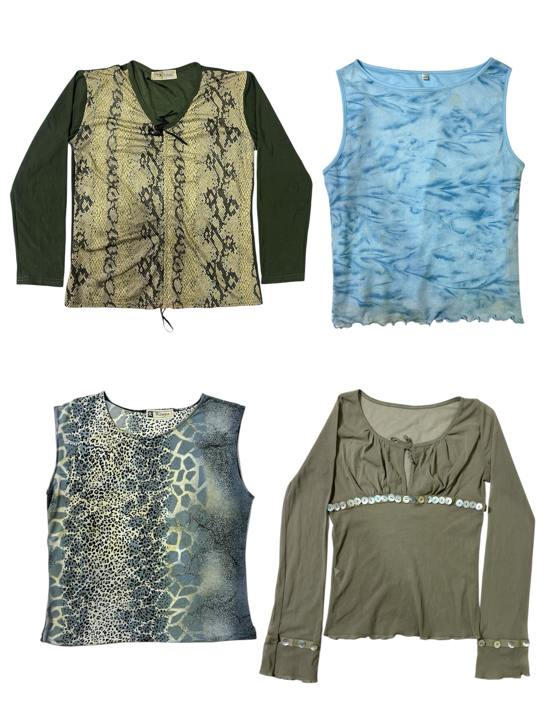 A descriptive alt text for this image