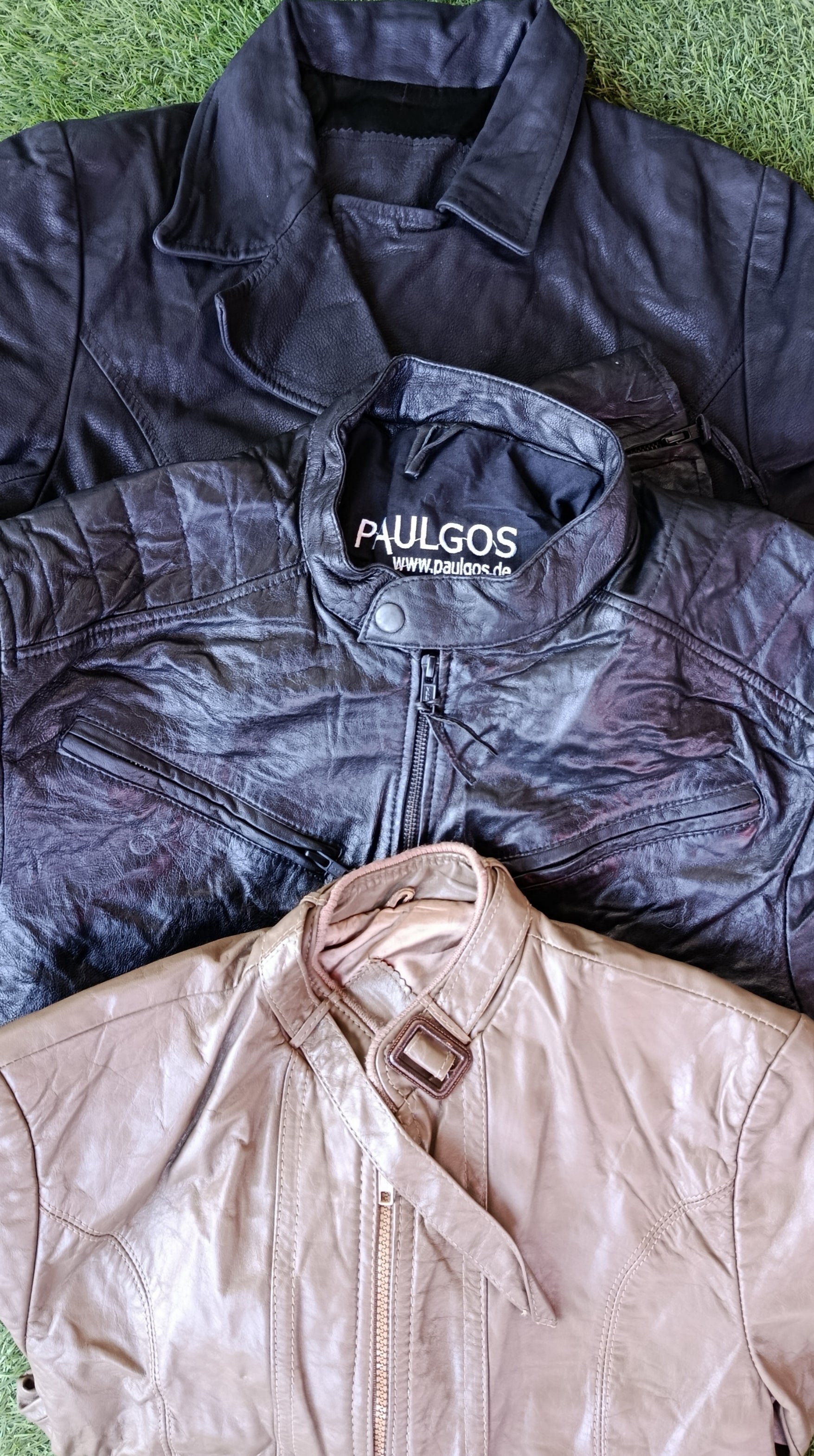 A descriptive alt text for this image