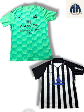 A descriptive alt text for this image