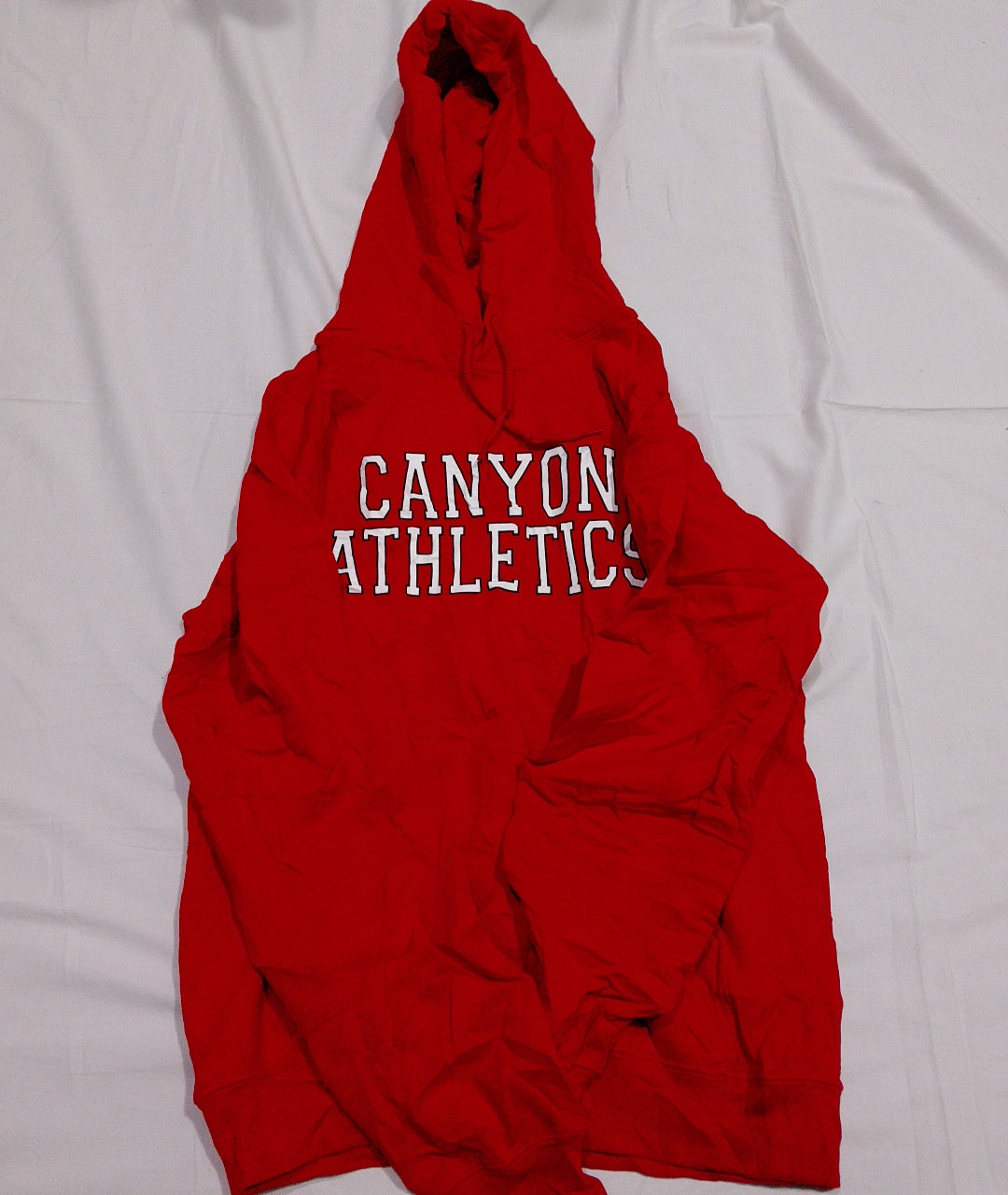 A descriptive alt text for this image