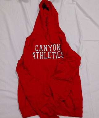 A descriptive alt text for this image