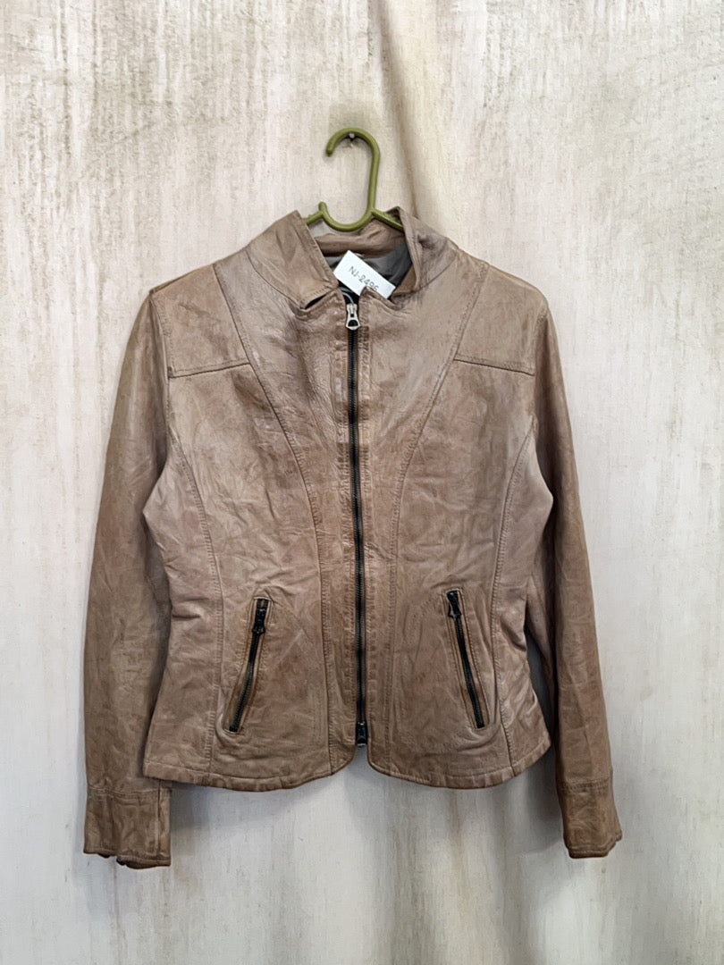 A descriptive alt text for this image