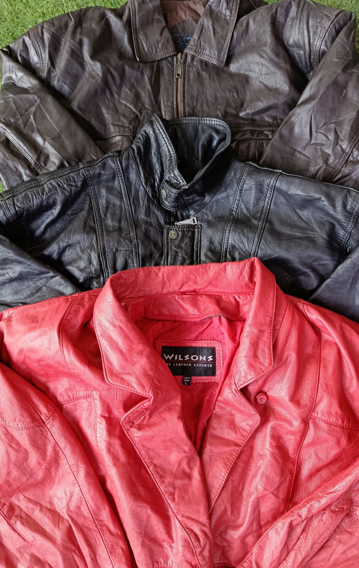 A descriptive alt text for this image