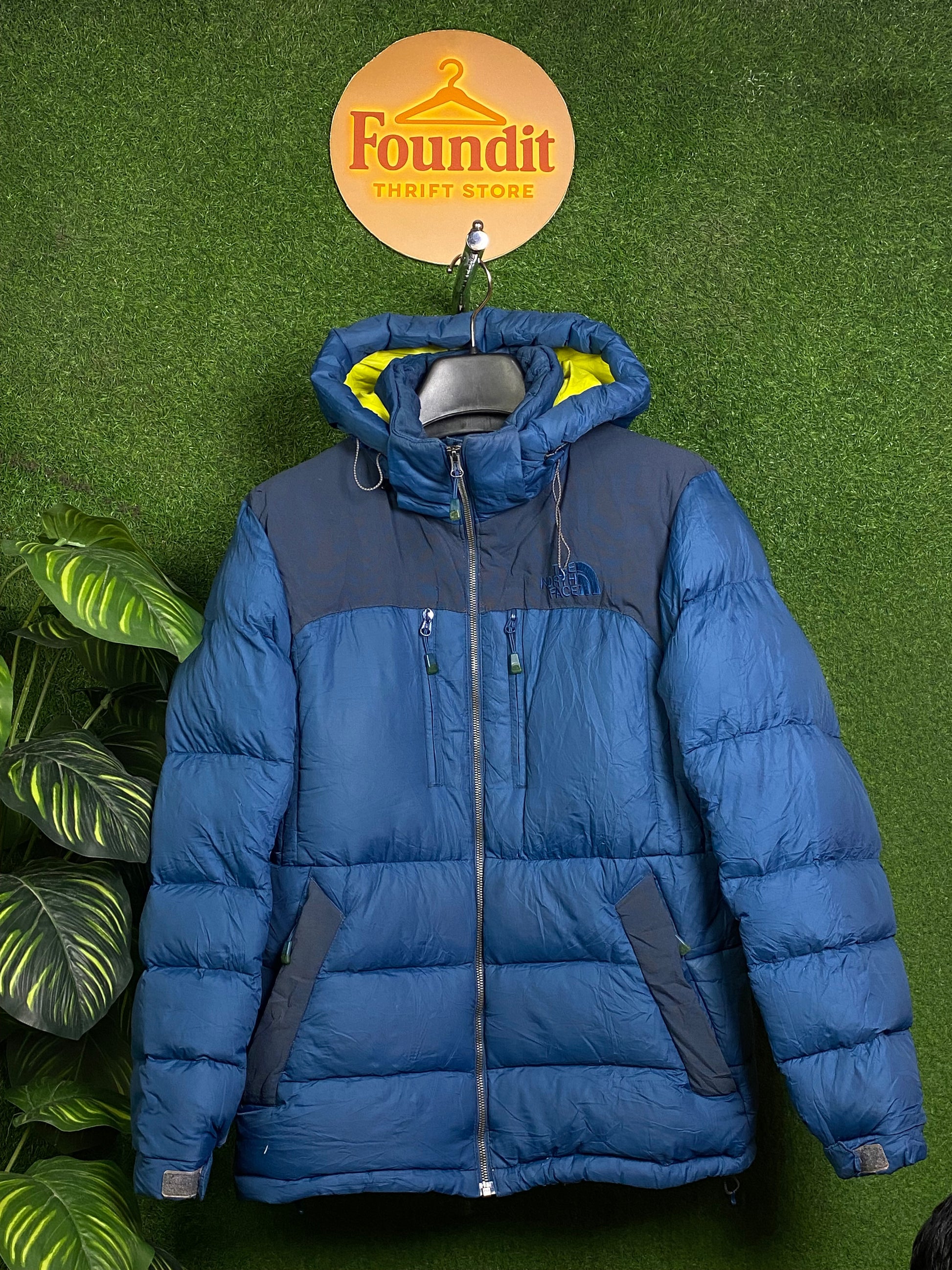 A descriptive alt text for this image