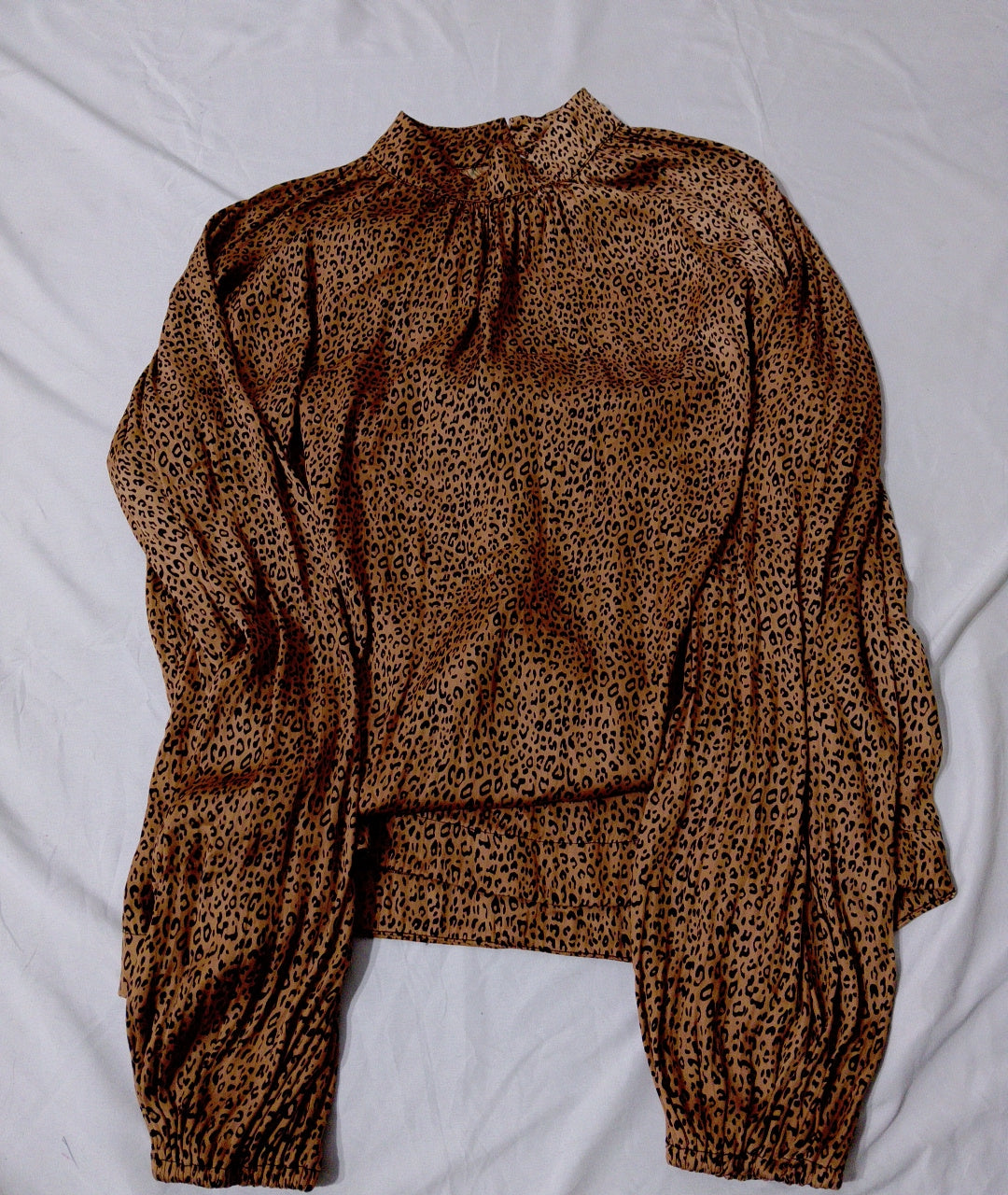 A descriptive alt text for this image