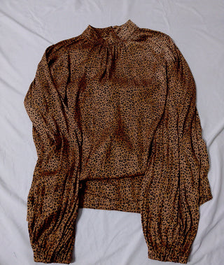 A descriptive alt text for this image