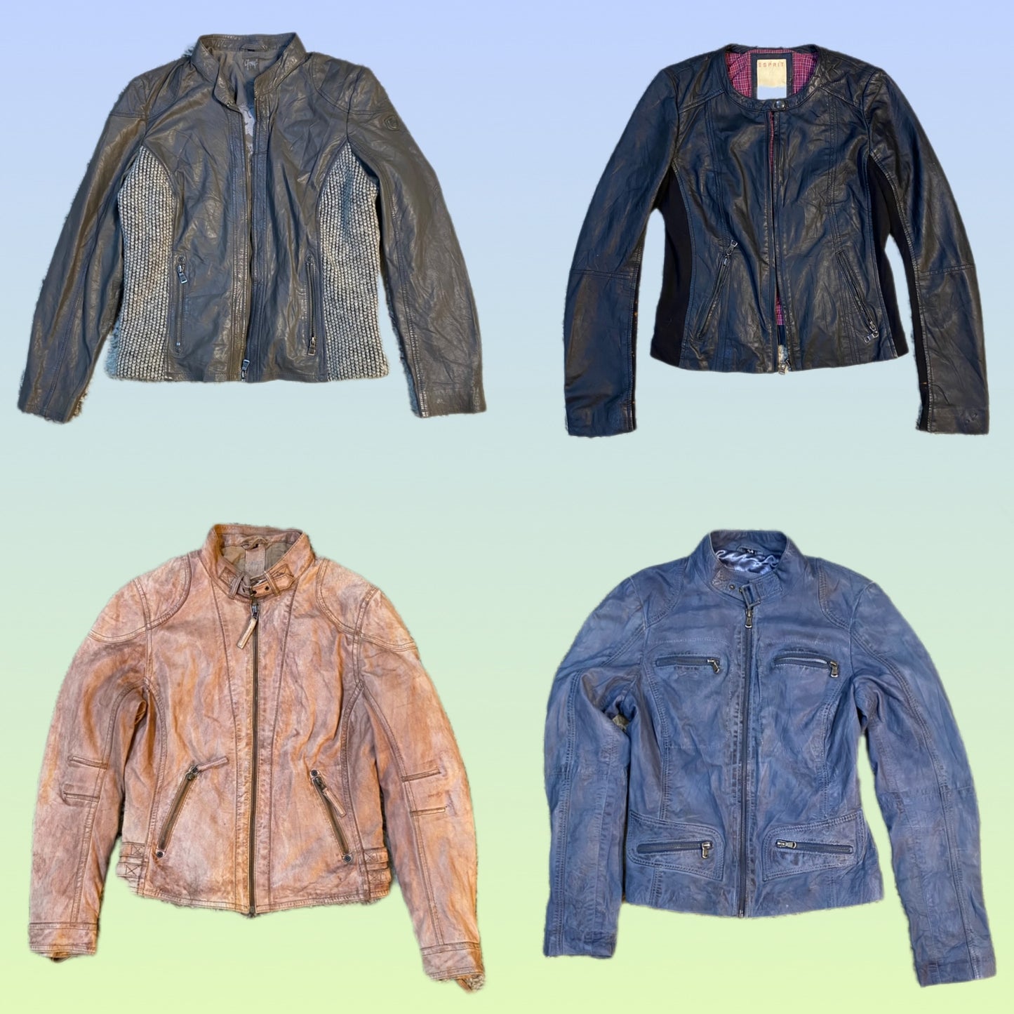 A descriptive alt text for this image