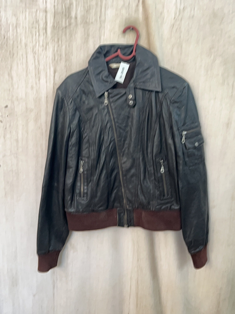 A descriptive alt text for this image