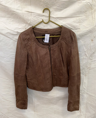 A descriptive alt text for this image