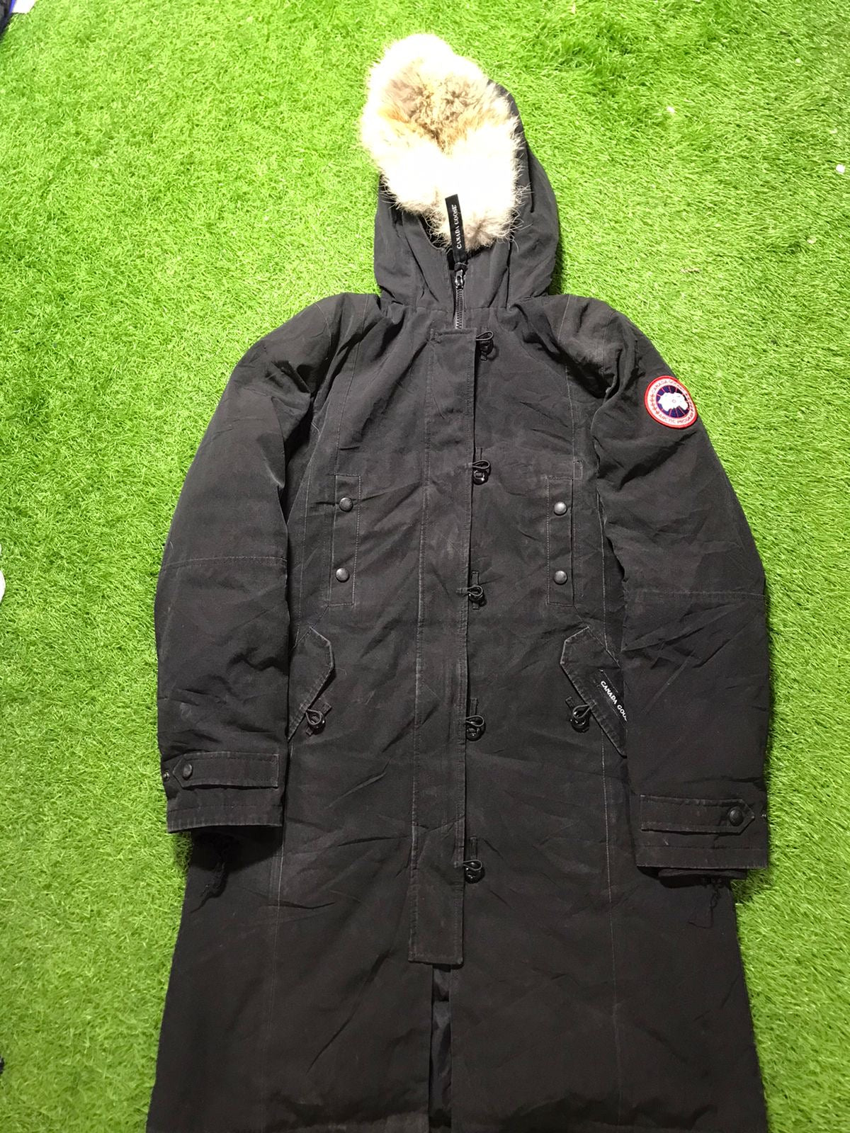 A descriptive alt text for this image