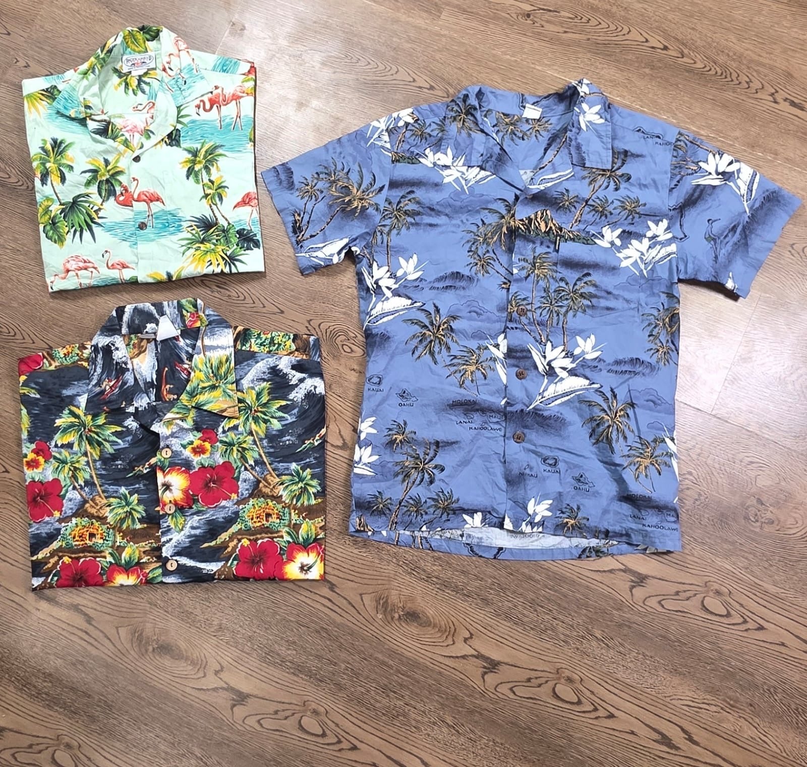 A descriptive alt text for this image