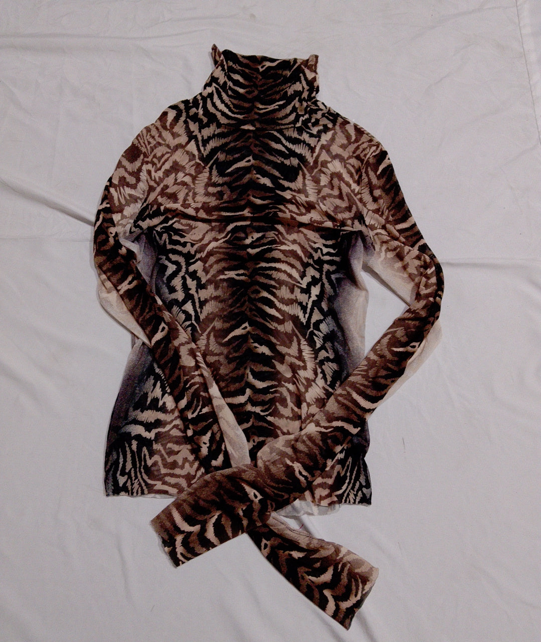 A descriptive alt text for this image