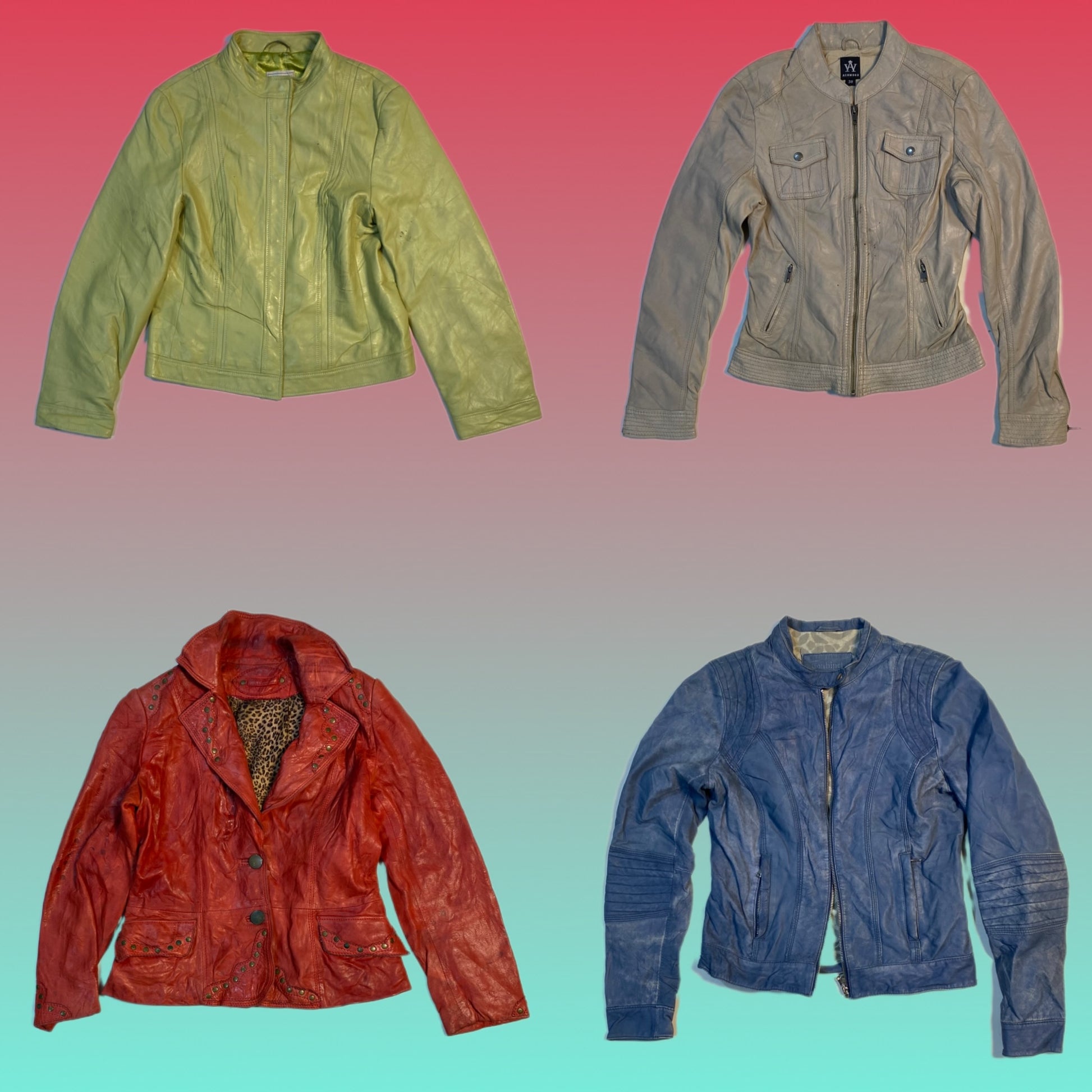 A descriptive alt text for this image