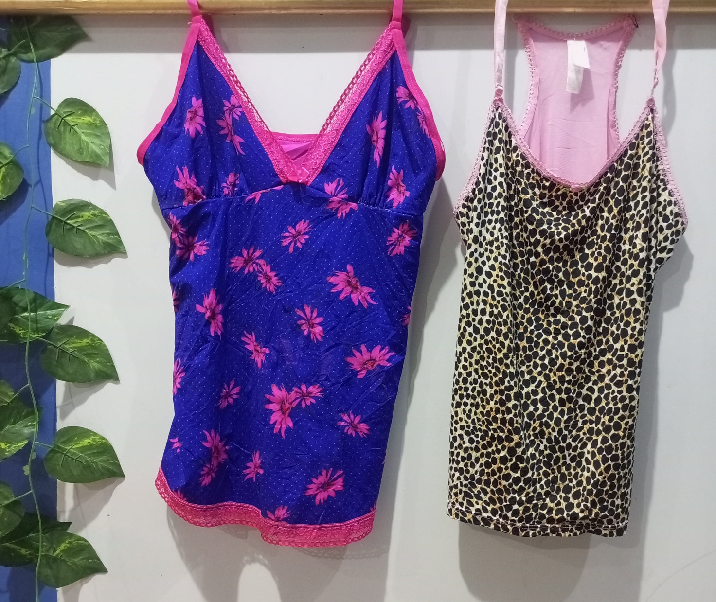 A descriptive alt text for this image