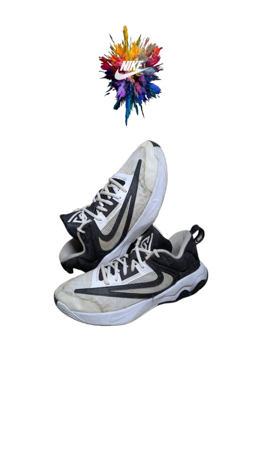 A descriptive alt text for this image