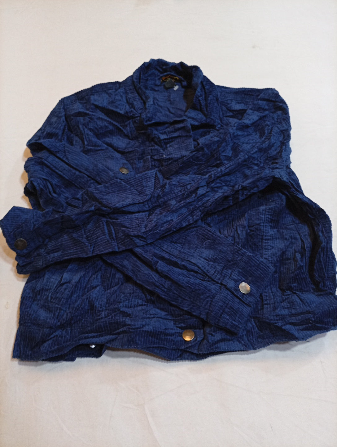 A descriptive alt text for this image