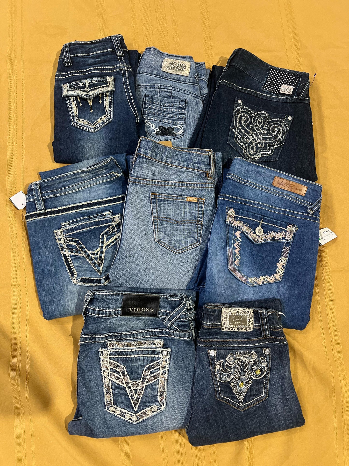 A descriptive alt text for this image