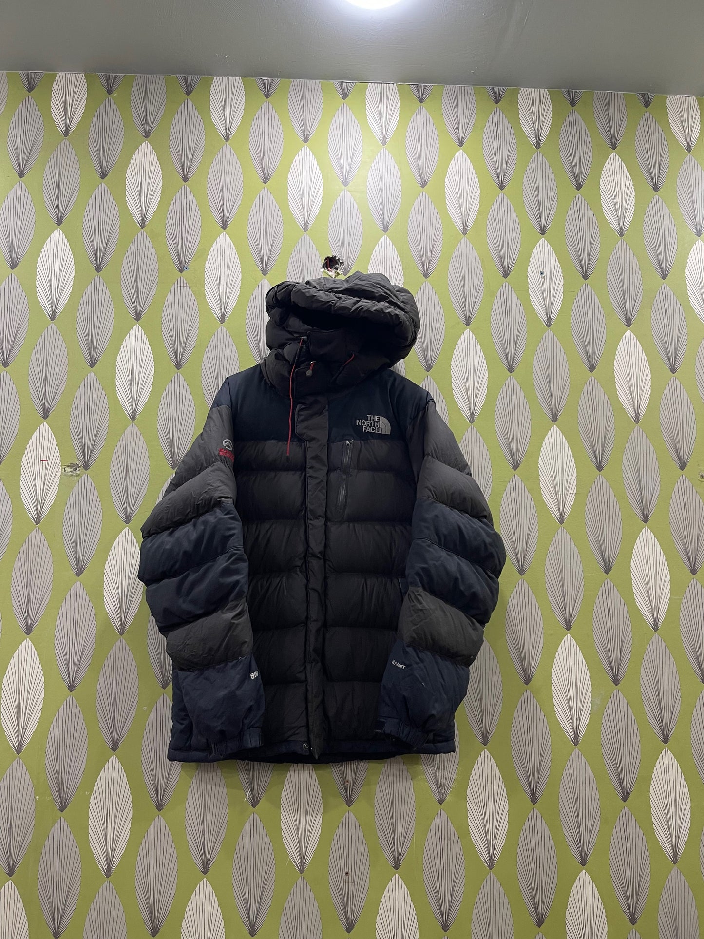 A descriptive alt text for this image