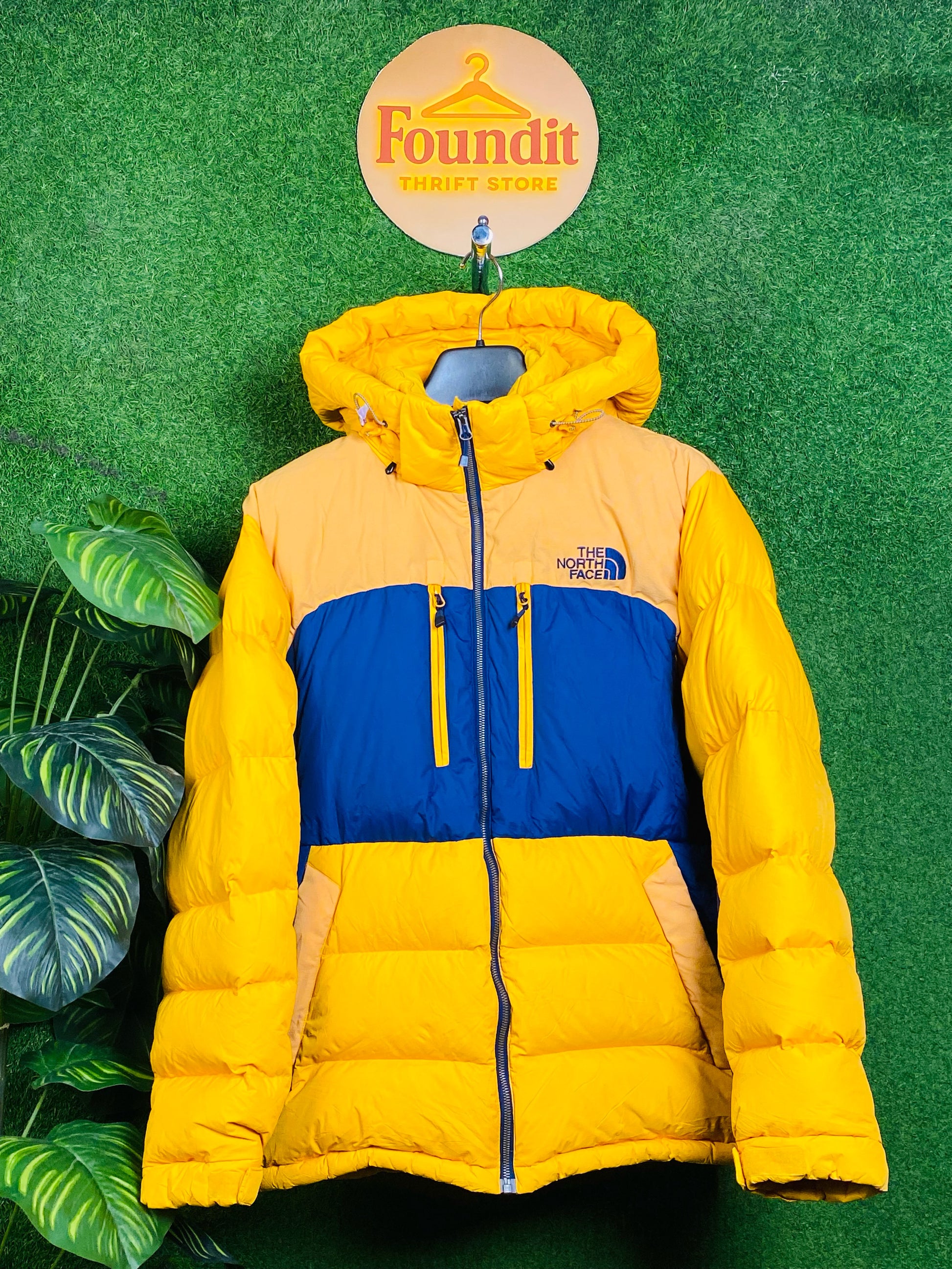 A descriptive alt text for this image