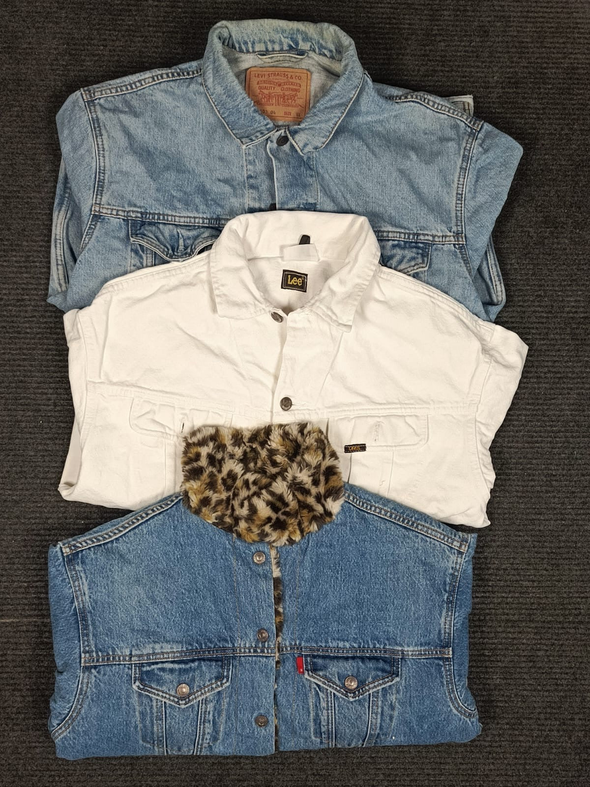 A descriptive alt text for this image