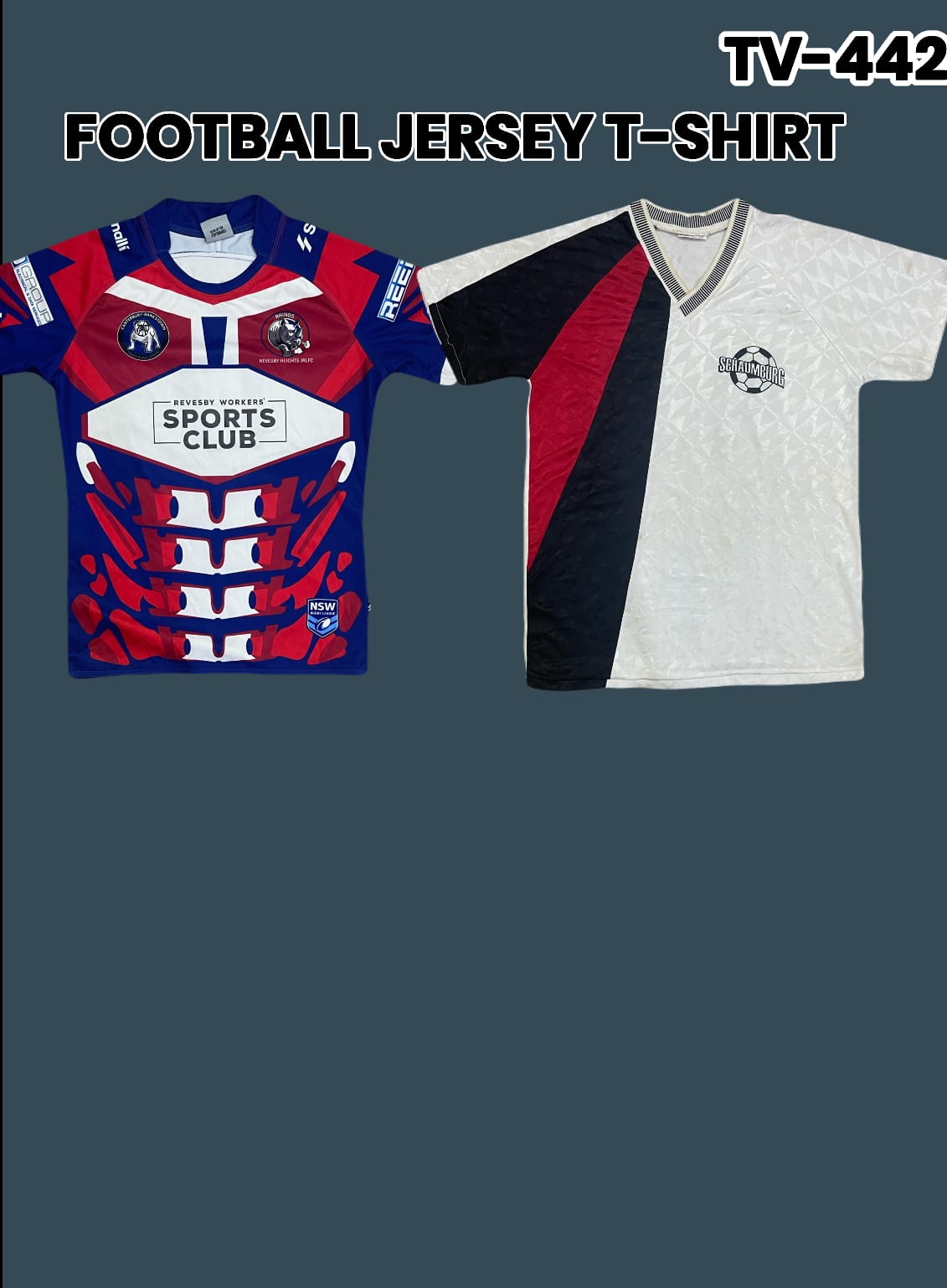 A descriptive alt text for this image