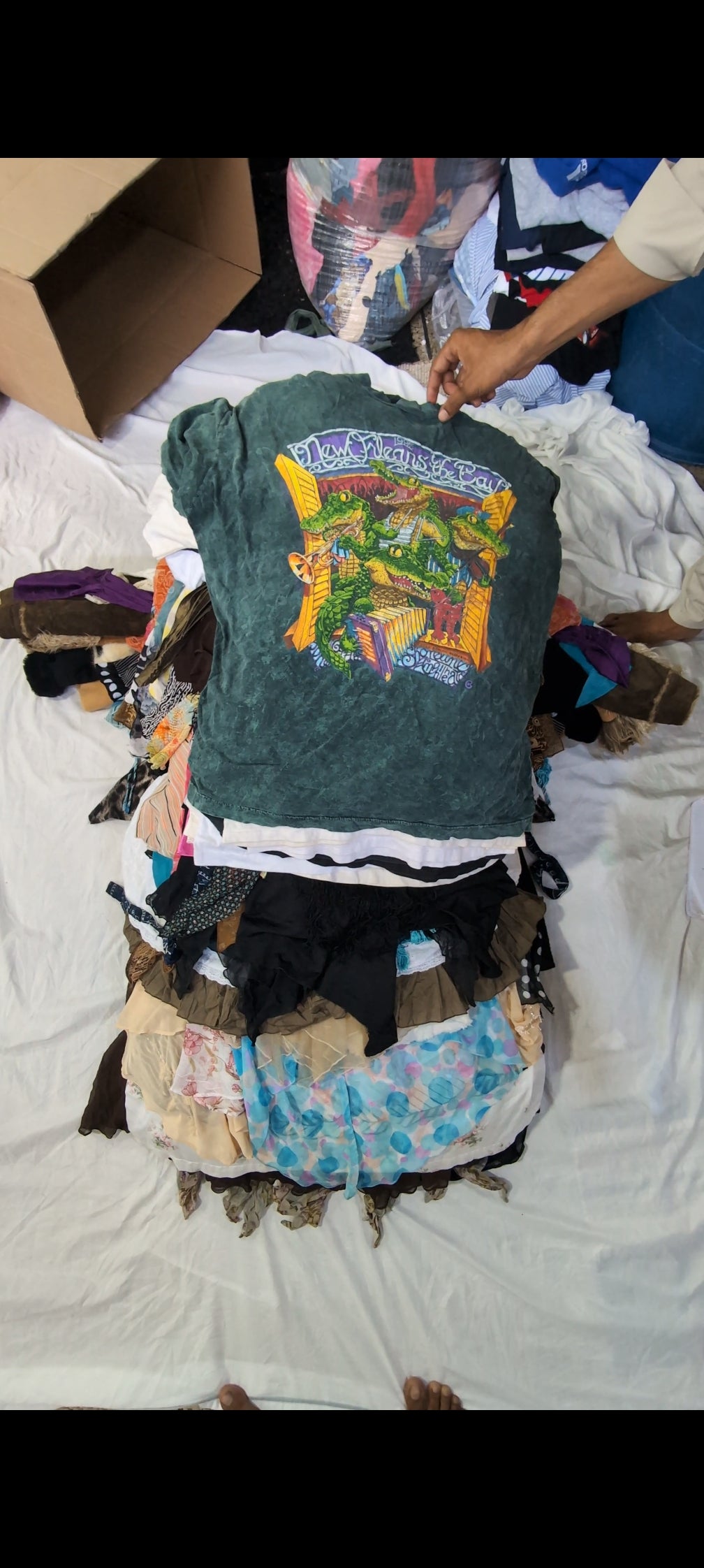 A descriptive alt text for this image