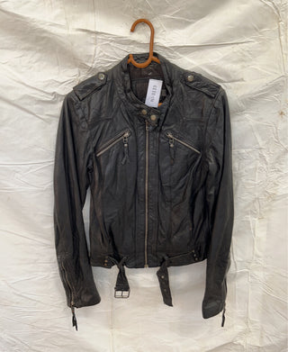 A descriptive alt text for this image