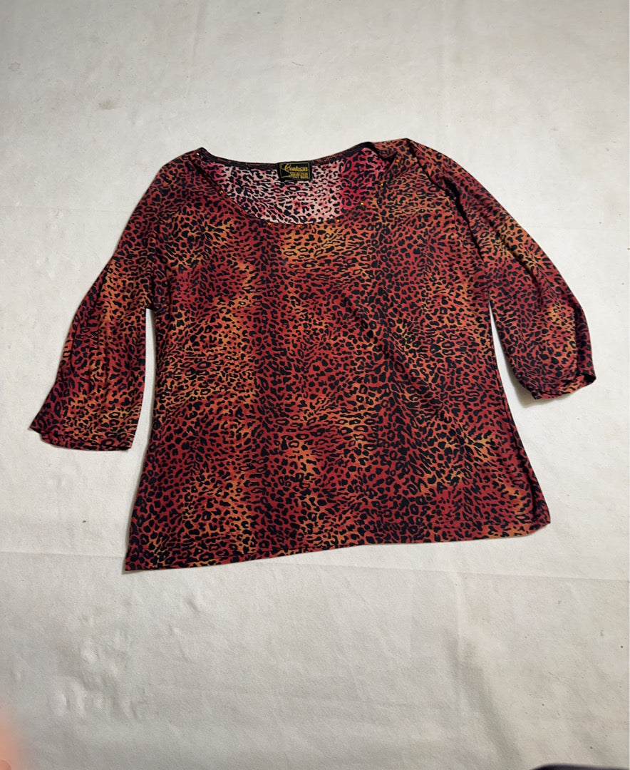 A descriptive alt text for this image