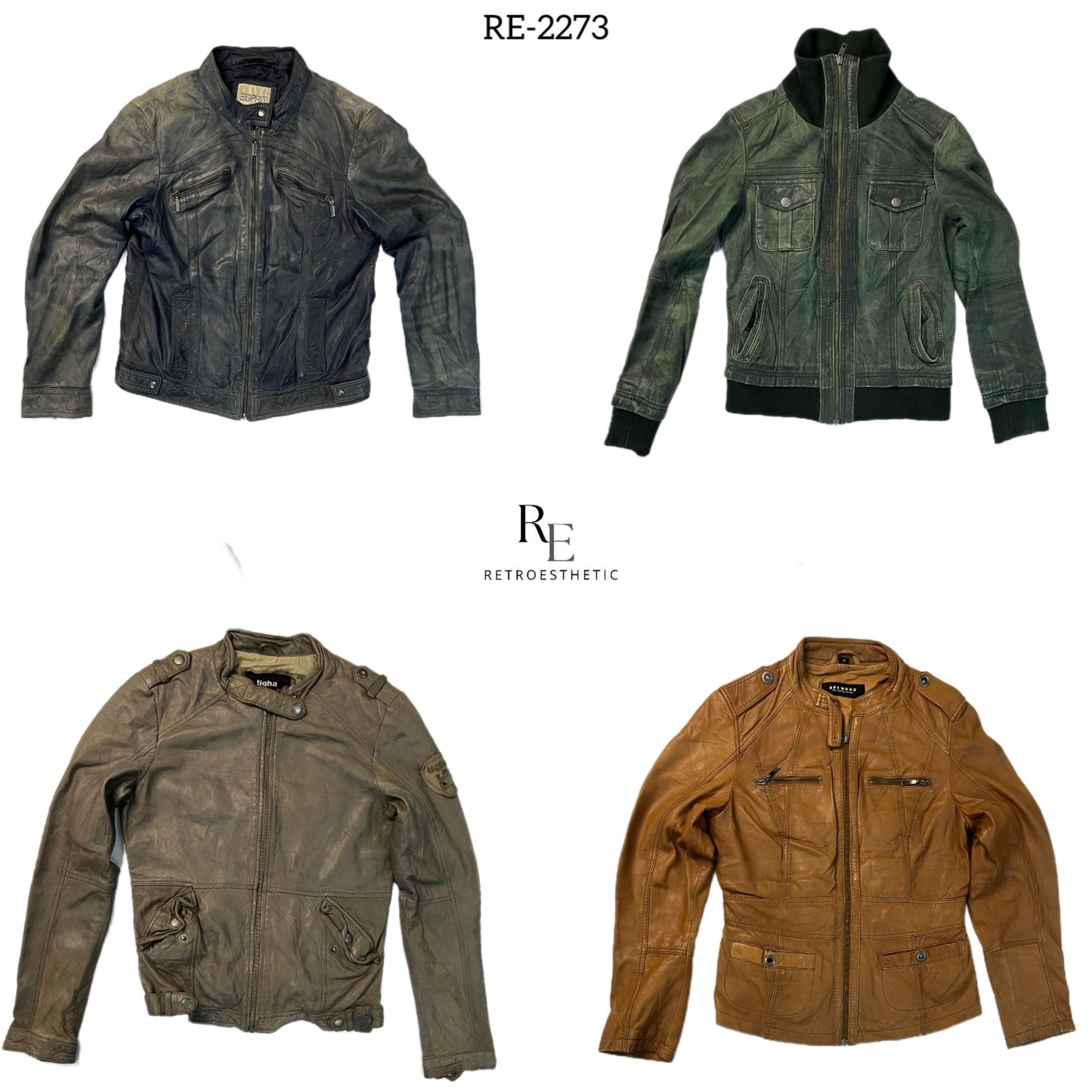 A descriptive alt text for this image