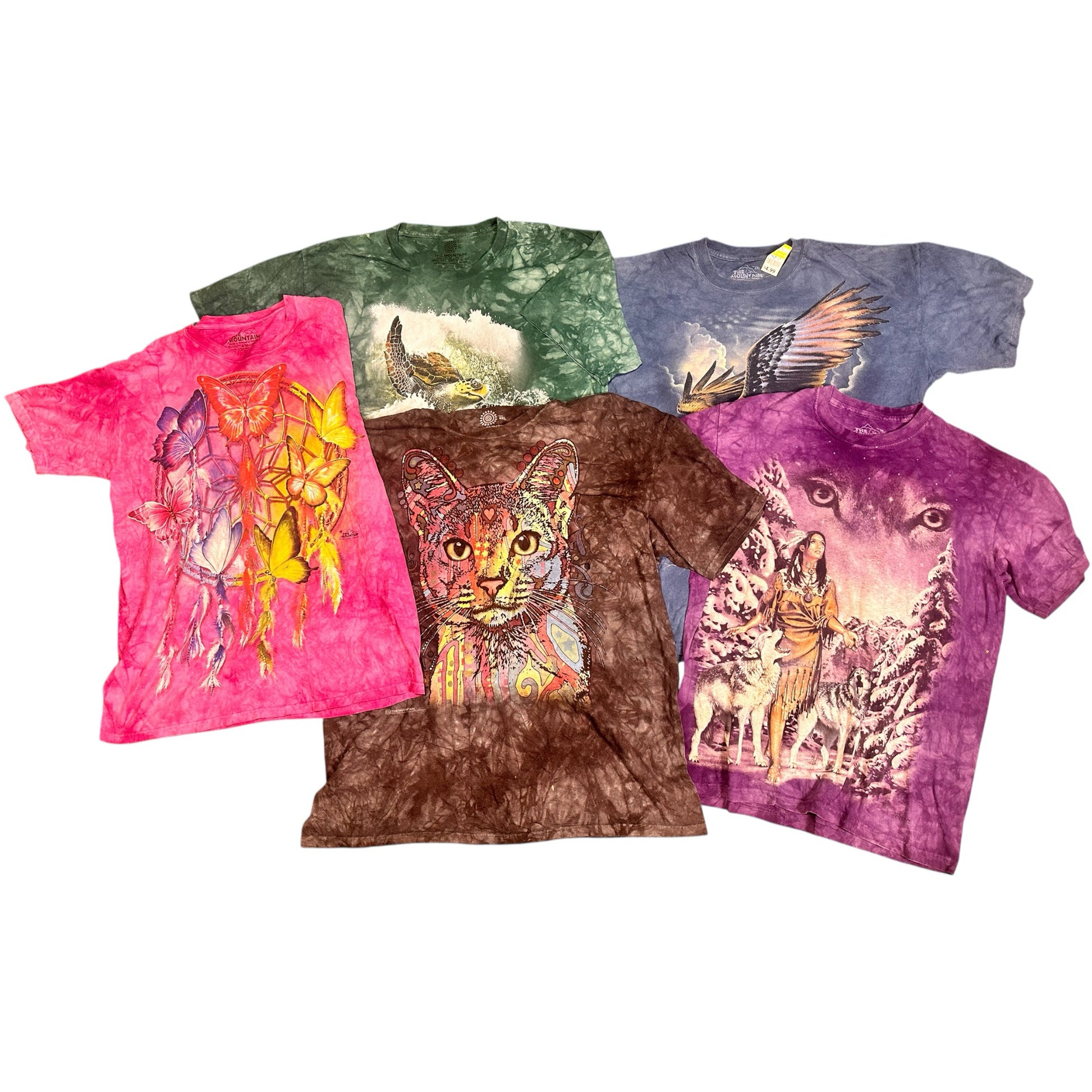 A descriptive alt text for this image