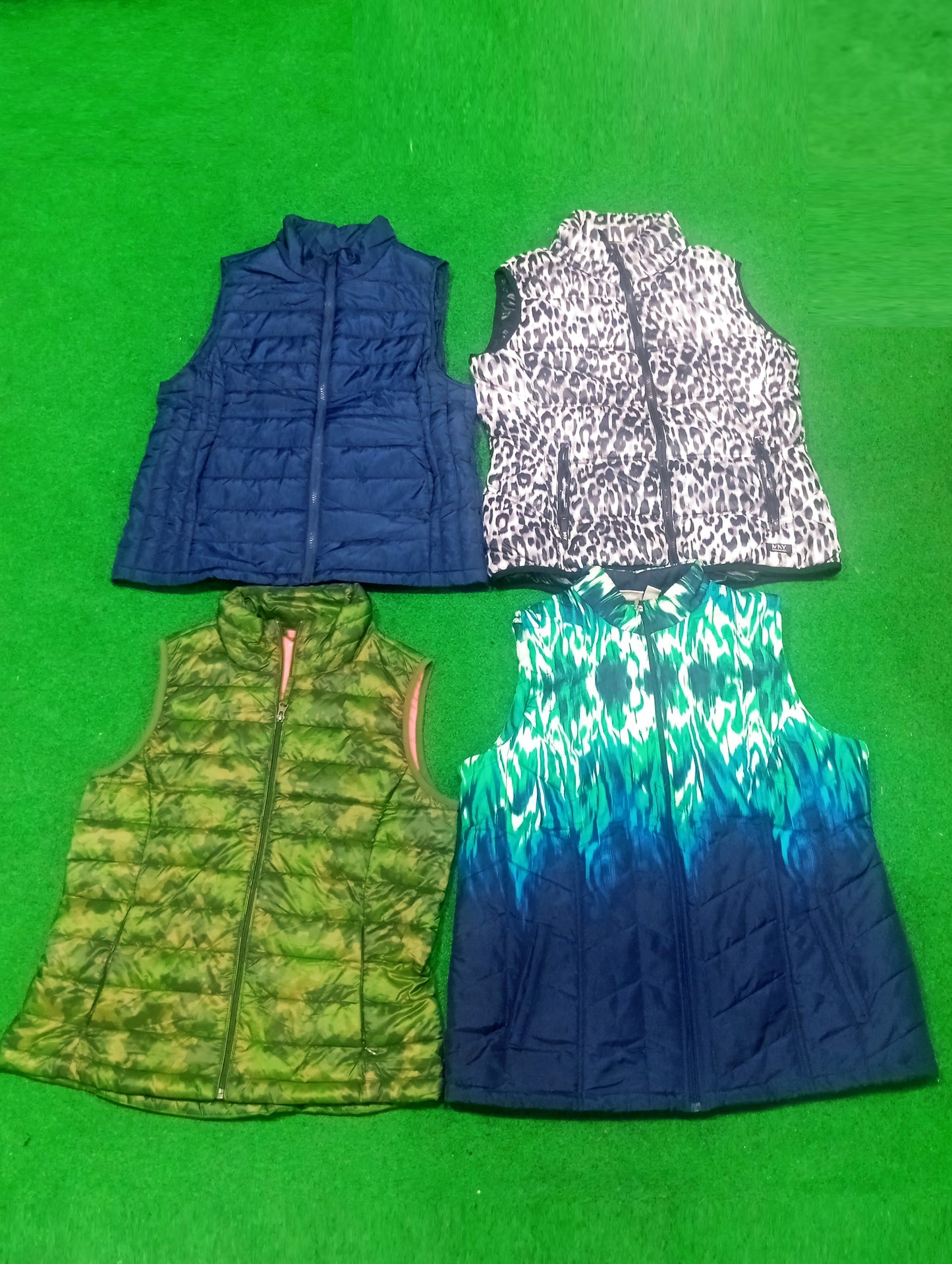 A descriptive alt text for this image