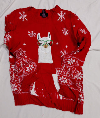 A descriptive alt text for this image